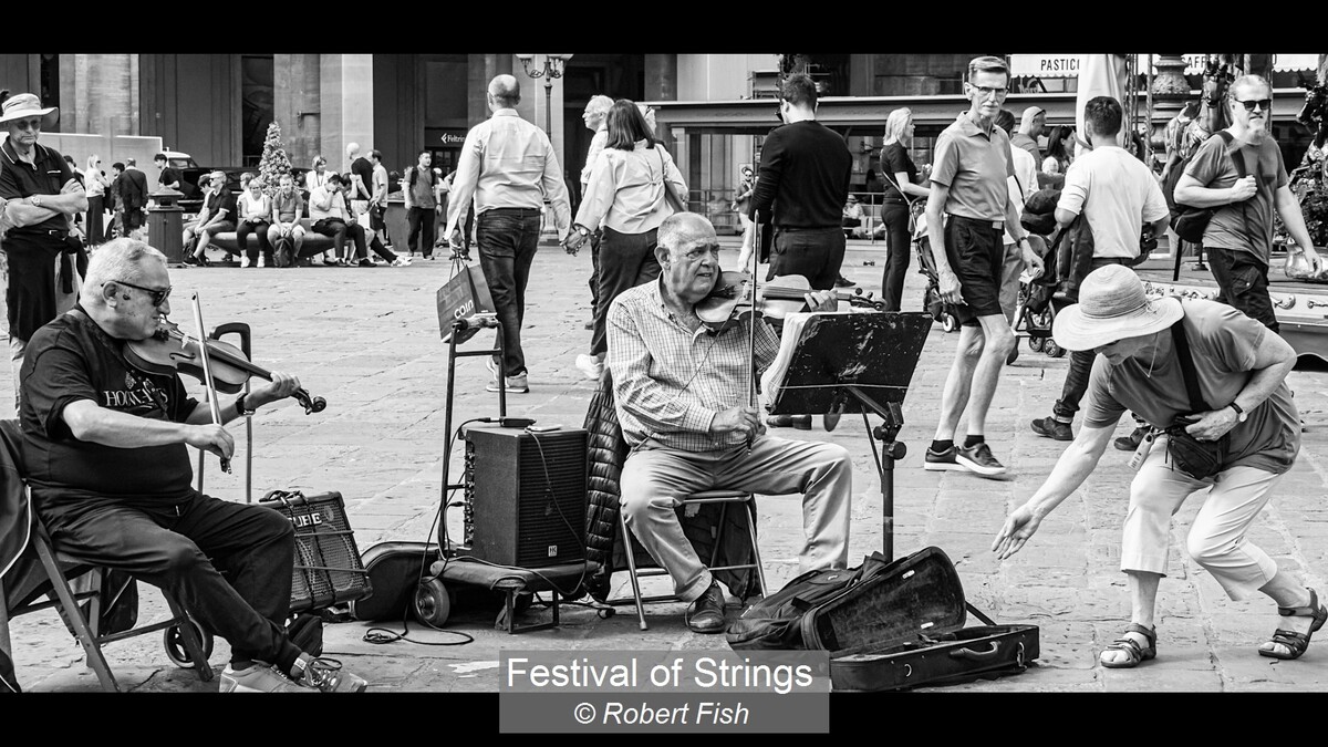 Festival of Strings